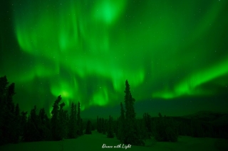 Alaska Aurora