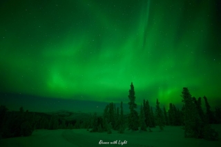 Alaska Aurora