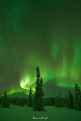 Alaska Aurora
