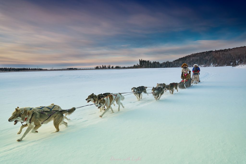 Alaska Husky Sled